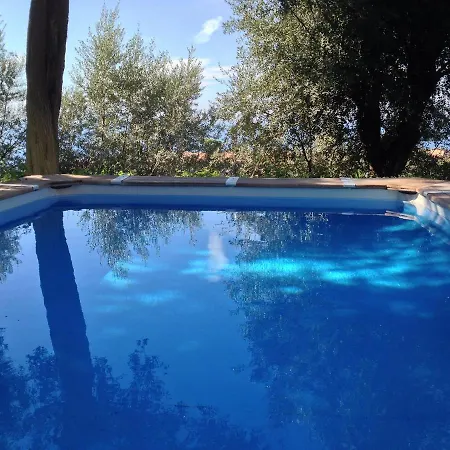 I Cavalieri Del Giglio